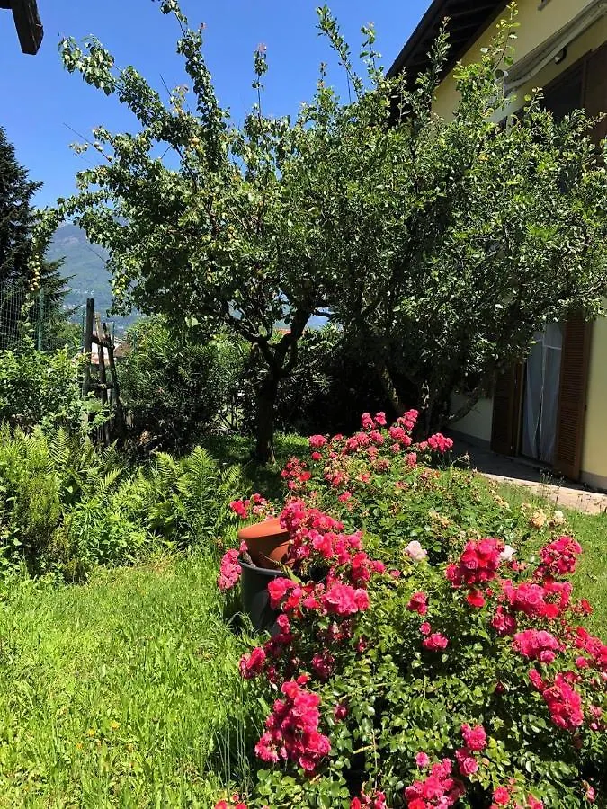 The Children Smile- With Private Garden Apartment Colico